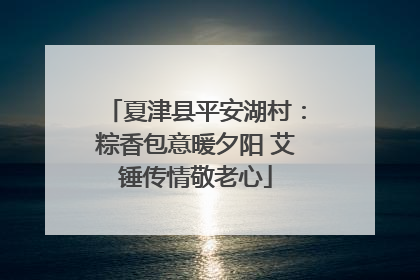 夏津县平安湖村：粽香包意暖夕阳 艾锤传情敬老心