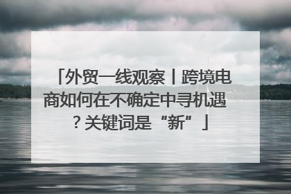 外贸一线观察丨跨境电商如何在不确定中寻机遇？关键词是“新”