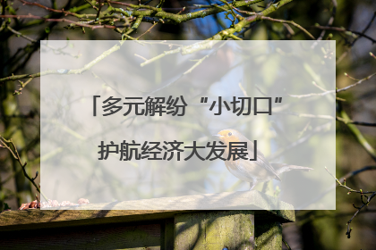 多元解纷“小切口” 护航经济大发展