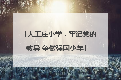 大王庄小学：牢记党的教导 争做强国少年