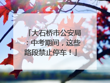 大石桥市公安局：中考期间，这些路段禁止停车！