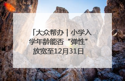 大众帮办｜小学入学年龄能否“弹性”放宽至12月31日？有地方已在探索