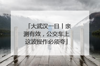 大武汉一日丨亲测有效，公交车上这波操作必须夸