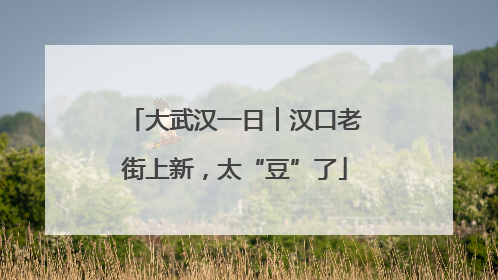 大武汉一日︱汉口老街上新，太“豆”了