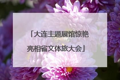 大连主题展馆惊艳亮相省文体旅大会