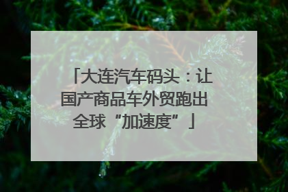 大连汽车码头：让国产商品车外贸跑出全球“加速度”