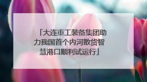 大连重工装备集团助力我国首个内河散货智慧港口顺利试运行