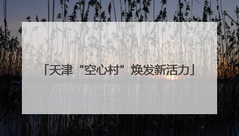 天津“空心村”焕发新活力