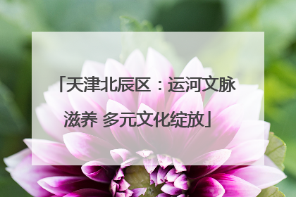 天津北辰区：运河文脉滋养 多元文化绽放