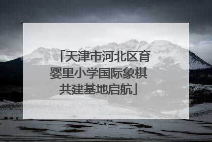 天津市河北区育婴里小学国际象棋共建基地启航
