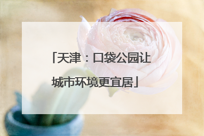 天津：口袋公园让城市环境更宜居