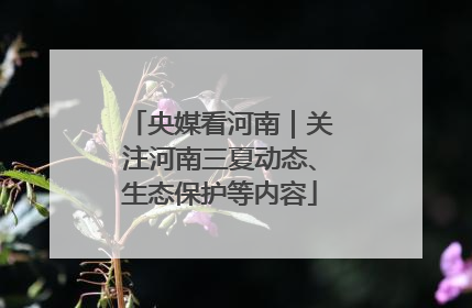 央媒看河南｜关注河南三夏动态、生态保护等内容