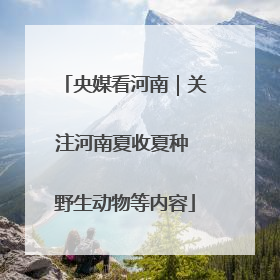 央媒看河南｜关注河南夏收夏种 野生动物等内容