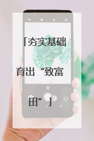 夯实基础育出“致富田”
