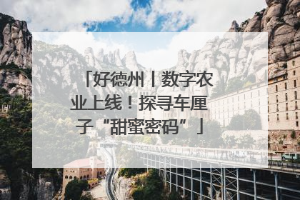 好德州丨数字农业上线！探寻车厘子“甜蜜密码”