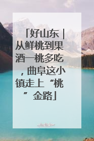 好山东｜从鲜桃到果酒一桃多吃，曲阜这小镇走上“桃”金路