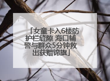 女童卡入6楼防护栏缝隙 海口辅警与群众5分钟救出获赠锦旗