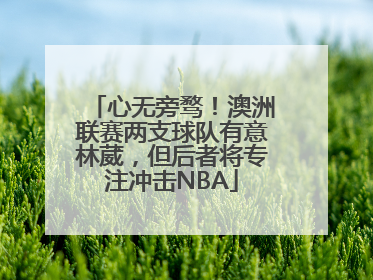 心无旁骛！澳洲联赛两支球队有意林葳，但后者将专注冲击NBA