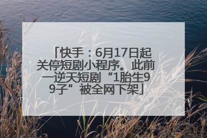 快手：6月17日起关停短剧小程序。此前一逆天短剧“1胎生99子”被全网下架