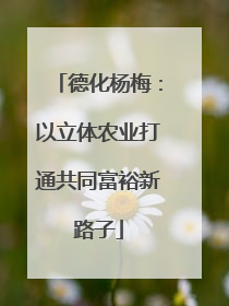 德化杨梅：以立体农业打通共同富裕新路子