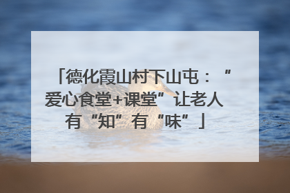 德化霞山村下山屯：“爱心食堂+课堂”让老人有“知”有“味”