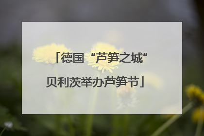 德国“芦笋之城”贝利茨举办芦笋节