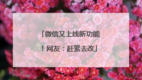 微信又上线新功能！网友：赶紧去改