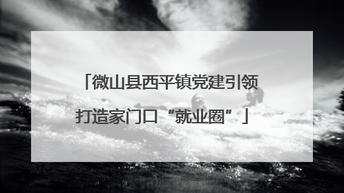 微山县西平镇党建引领打造家门口“就业圈”