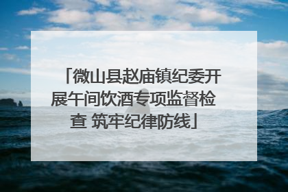 微山县赵庙镇纪委开展午间饮酒专项监督检查 筑牢纪律防线