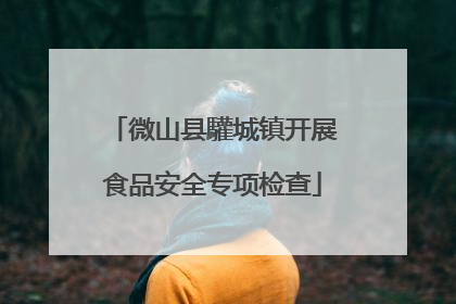 微山县驩城镇开展食品安全专项检查