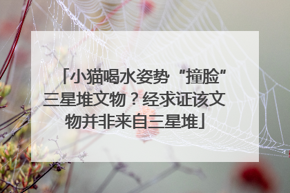 小猫喝水姿势“撞脸”三星堆文物？经求证该文物并非来自三星堆