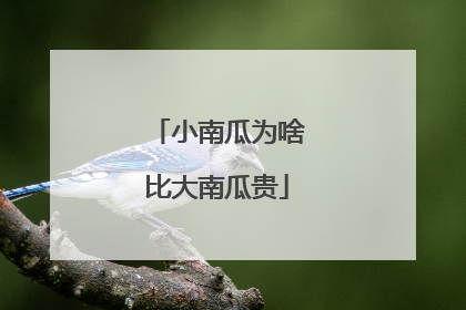 小南瓜为啥比大南瓜贵