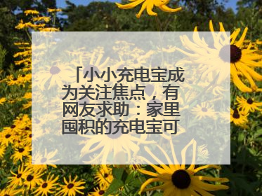 小小充电宝成为关注焦点，有网友求助：家里囤积的充电宝可以如何处理？