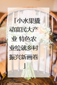 小水果撬动富民大产业 特色农业绘就乡村振兴新画卷