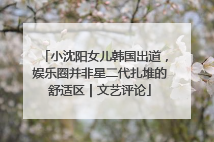 小沈阳女儿韩国出道，娱乐圈并非星二代扎堆的舒适区｜文艺评论