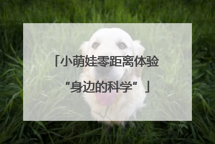 小萌娃零距离体验“身边的科学”