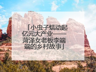 小虫子蠕动起亿元大产业——菏泽女老板李端端的乡村故事