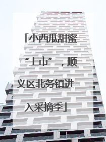 小西瓜甜蜜“上市”，顺义区北务镇进入采摘季