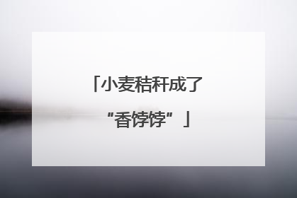 小麦秸秆成了“香饽饽”