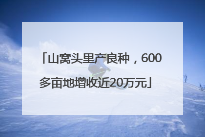 山窝头里产良种，600多亩地增收近20万元