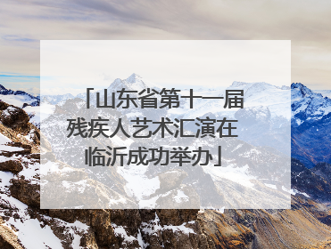 山东省第十一届残疾人艺术汇演在临沂成功举办