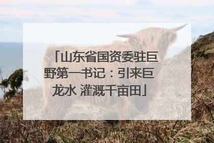 山东省国资委驻巨野第一书记：引来巨龙水 灌溉千亩田