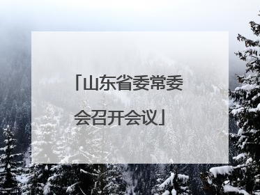 山东省委常委会召开会议