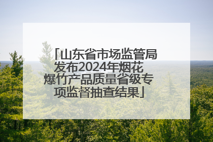山东省市场监管局发布2024年烟花爆竹产品质量省级专项监督抽查结果