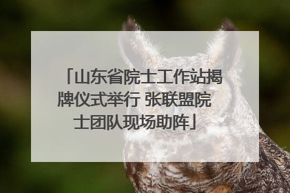 山东省院士工作站揭牌仪式举行 张联盟院士团队现场助阵