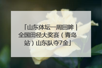 山东体坛一周回眸｜全国田径大奖赛（青岛站）山东队夺7金