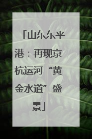 山东东平港：再现京杭运河“黄金水道”盛景