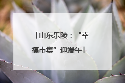 山东乐陵：“幸福市集”迎端午
