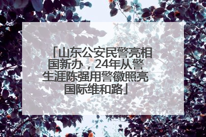 山东公安民警亮相国新办，24年从警生涯陈强用警徽照亮国际维和路