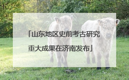 山东地区史前考古研究重大成果在济南发布